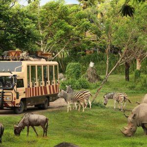 Bali Safari & Marine Park - PT Bali Agha Nusantara