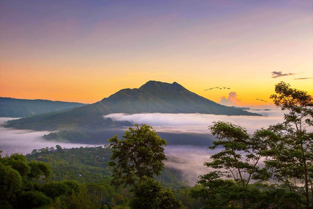 KINTAMANI