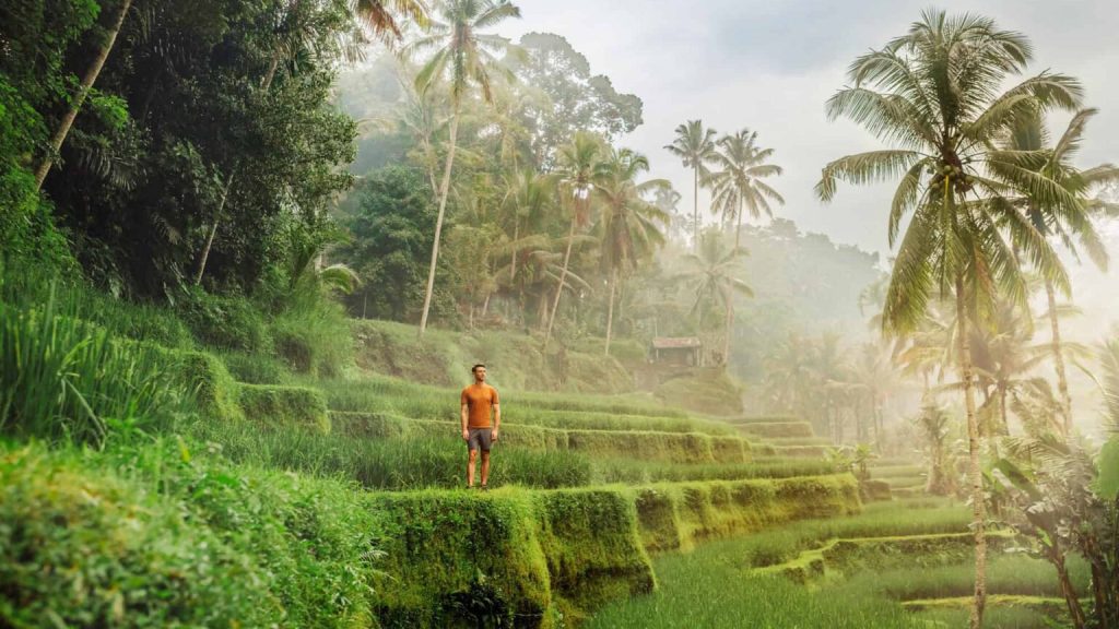 Ubud Full Day Tour - PT. Bali Agha Nusantara