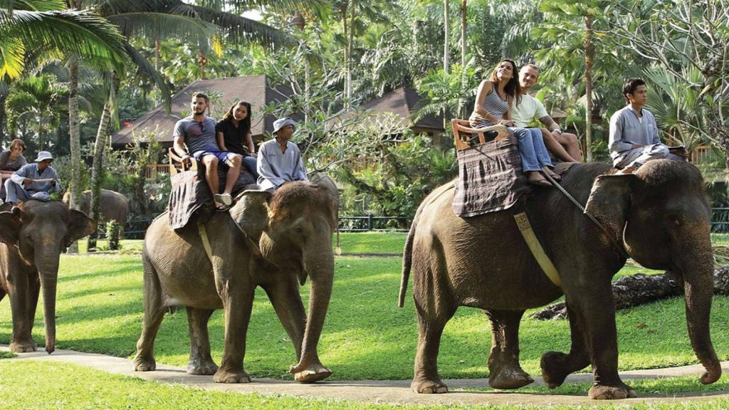 Bali Elephant Ride Tour - PT Bali Agha Nusantara