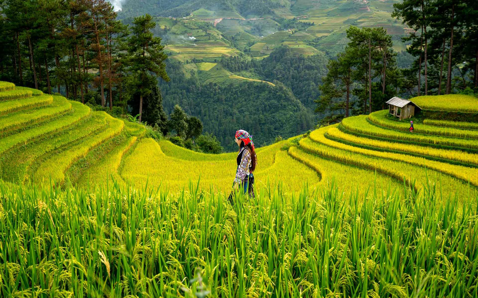 Traditional Balinese cultural experience in Ubud